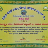 Best Performance Award (2018 – 2019)